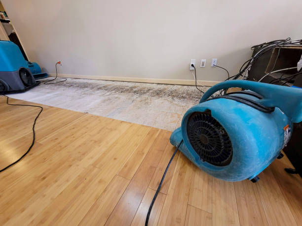 Professional Sewage Cleanup technician working in Long Lake, IL